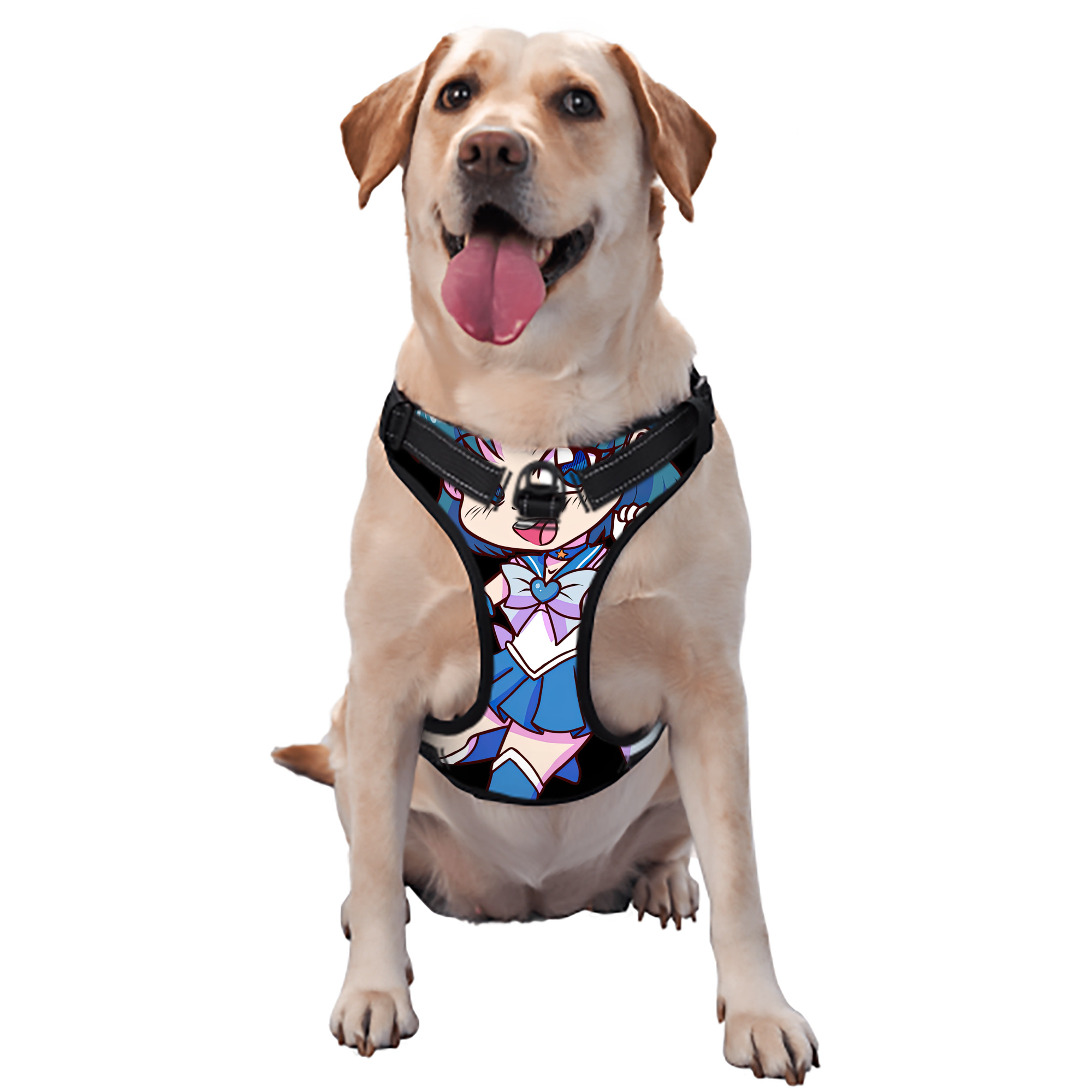 （画像用） 美少女戦士セーラームーン 水野 亜美 みずの あみ Sailor Moon Mizuno Ami ペット用ハーネス